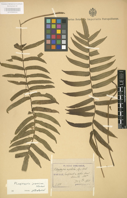 LE 01000234