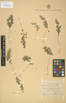 LE 01000238
