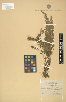 LE 01000240