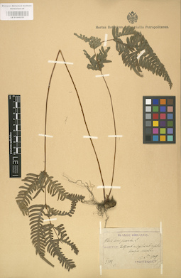 LE 01000253