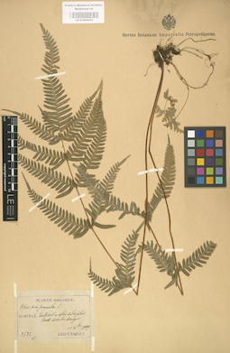 LE 01000254