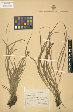 LE 01000257