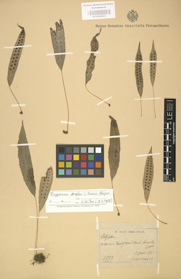 LE 01000261