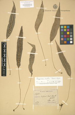 LE 01000263
