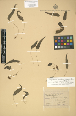 LE 01000267