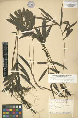 LE 01000269