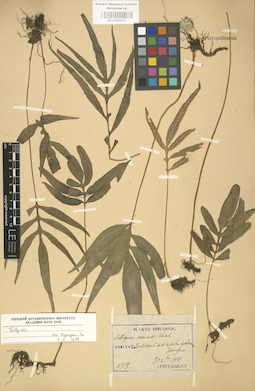 LE 01000270