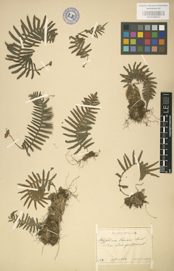LE 01000273