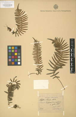 LE 01000274