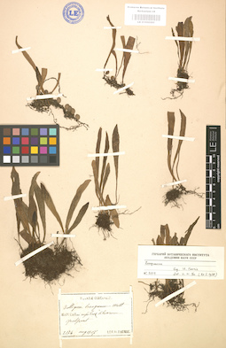 LE 01000285