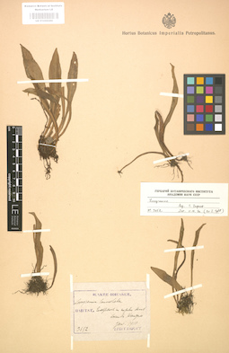 LE 01000286