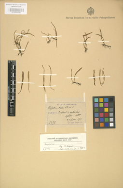 LE 01000291