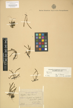 LE 01000292