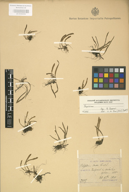 LE 01000294