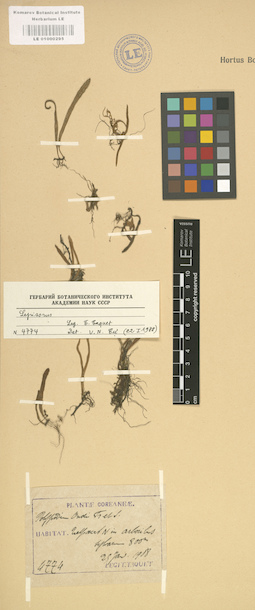 LE 01000295
