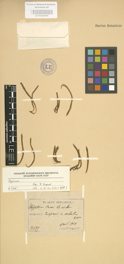 LE 01000296