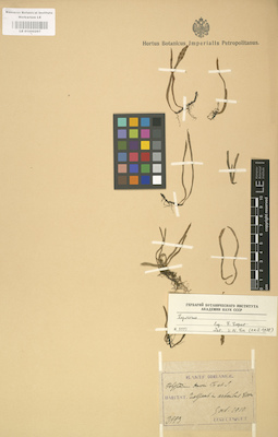 LE 01000297