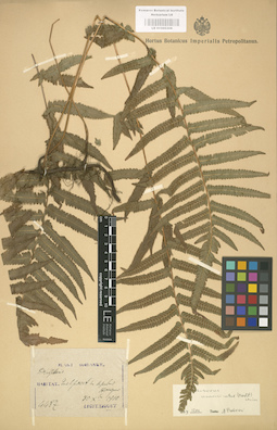 LE 01000308