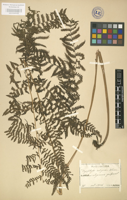 LE 01000312