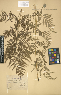 LE 01000316