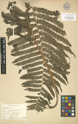 LE 01000331
