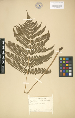 LE 01000337