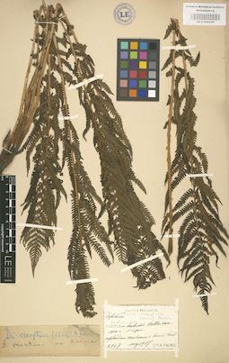 LE 01000338