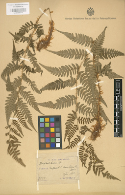 LE 01000341