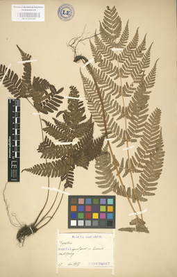 LE 01000342