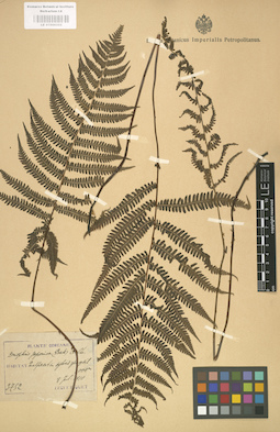 LE 01000355