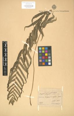LE 01000359