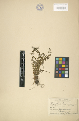 LE 01000376