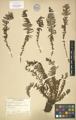 LE 01000379