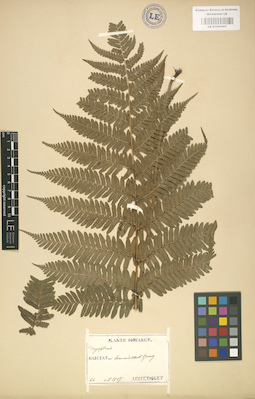 LE 01000401