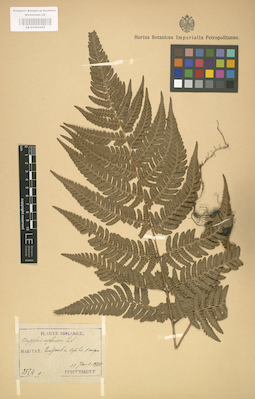 LE 01000402