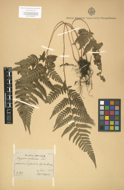 LE 01000403