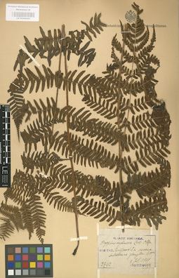 LE 01000404