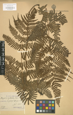 LE 01000405