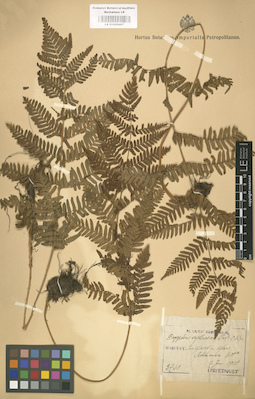 LE 01000407