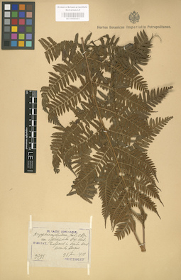 LE 01000421
