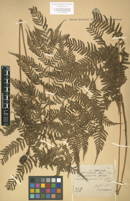 LE 01000424