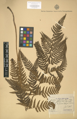 LE 01000426