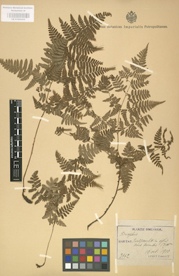 LE 01000434
