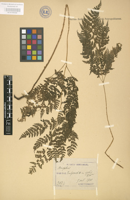 LE 01000440