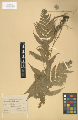 LE 01000447