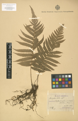 LE 01000448
