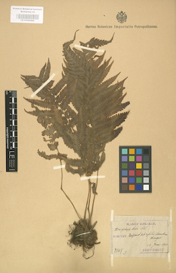 LE 01000449