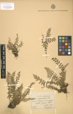 LE 01000470