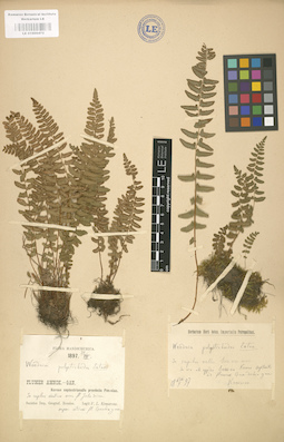 LE 01000472