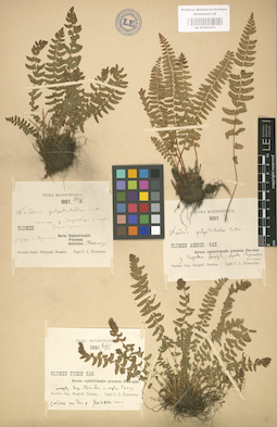 LE 01000473